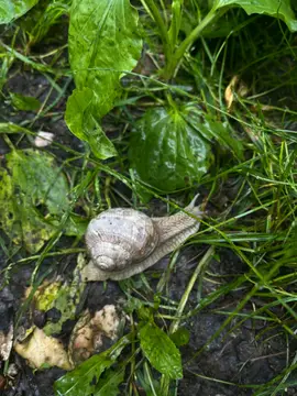 Gefühlsgarten – Stellplätze am Auenwald