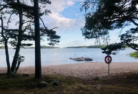 Bjurs