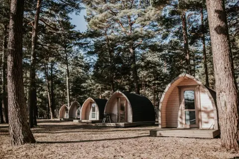 BB camping