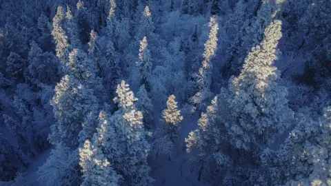 Camp Alta
