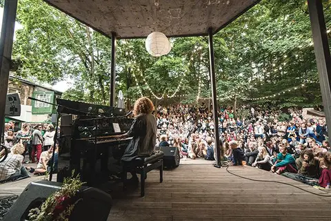 Downtown Forest Camping