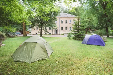 Downtown Forest Camping