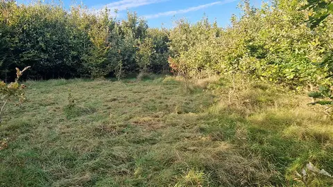 Trekkingplatz Klimawald Nordhastedt