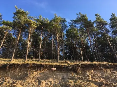 Ziemupes stāvlaukums