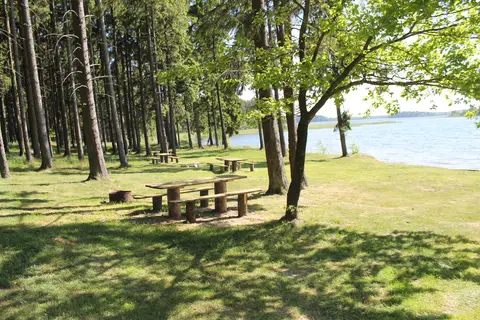 Atžalynas