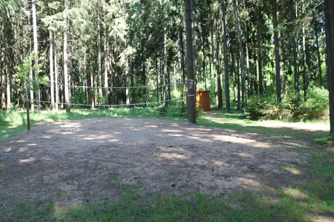 Atžalynas
