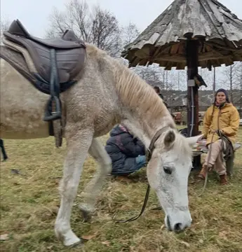 Заброддзе