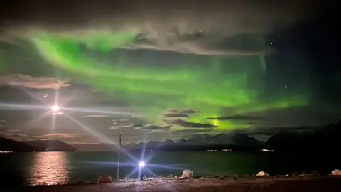 Artic-Lyngen
