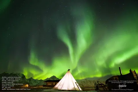 Artic-Lyngen