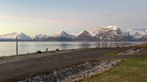 Artic-Lyngen