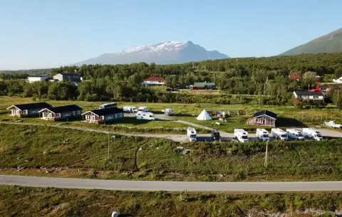 Artic-Lyngen
