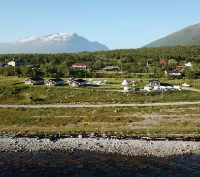 Artic-Lyngen