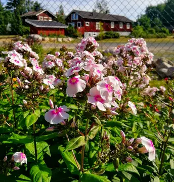 Katiskanmäki