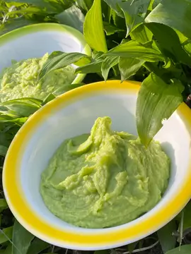 Jõekääru puhkekeskus