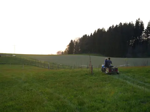 Schmiedhof Wolfsberg