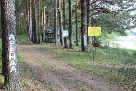 Прорва
