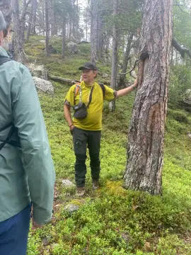Sápmi Nature Camp