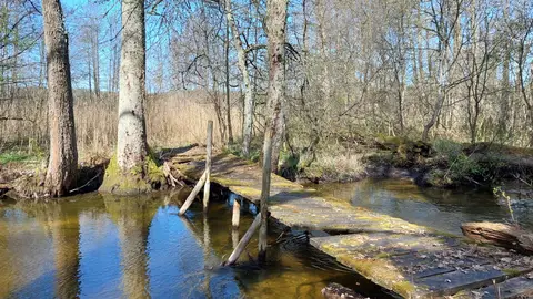 Kaltanėnų ugdymo ir turizmo centro stovyklavietė