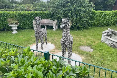 Familien-Campingplatz Forellensee