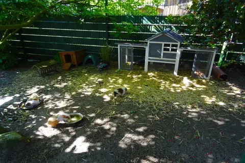 Familien-Campingplatz Forellensee