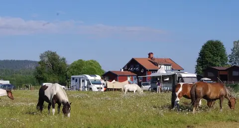 Sun Dance Ranch