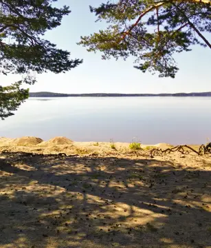 Papiniemi Camping