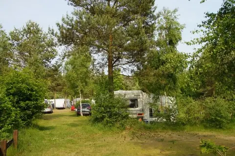 Camping Prora • Rügen