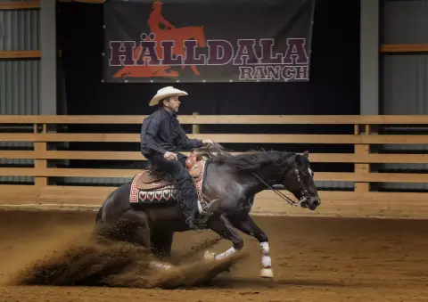 Hälldala Ranch