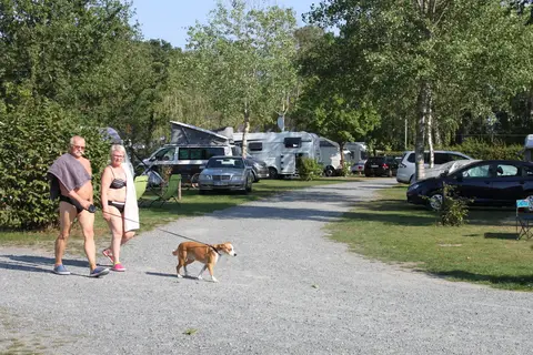 Tankumsee Campingplatz