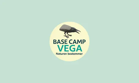 Basecamp Vega
