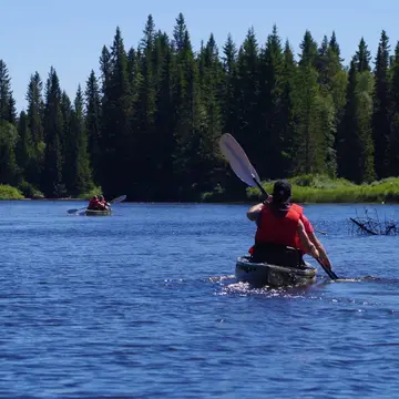 Camp Dammån