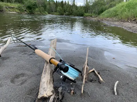 Camp Dammån