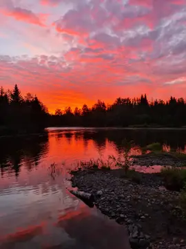 Camp Dammån