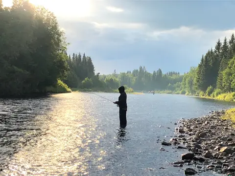 Camp Dammån
