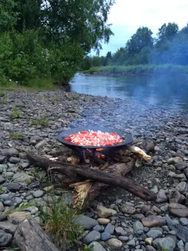 Camp Dammån