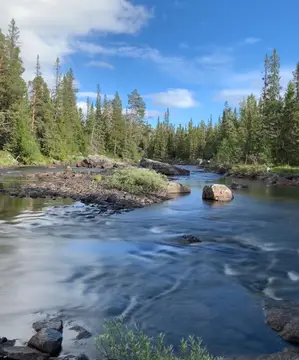 Camp Dammån