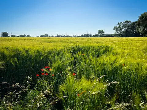 Freizeitanlage Altfeld