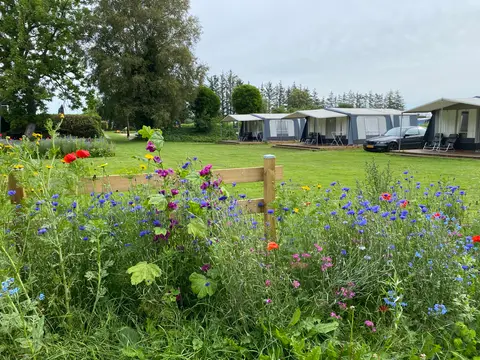 Asaa Camping & Hytteferie