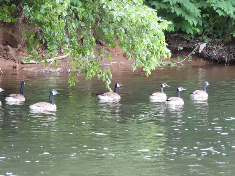 Waldcamping Glüder