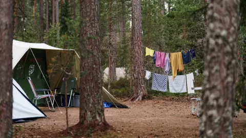 Spilhammars Camping