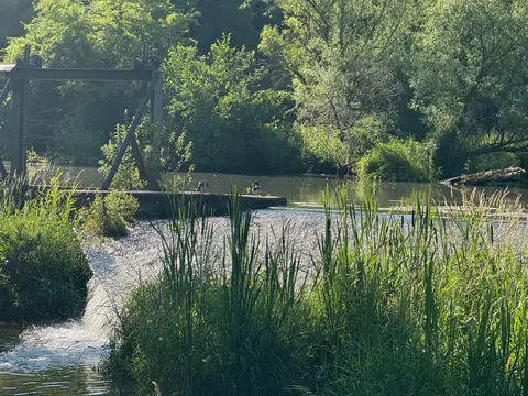 Naturcamping Pappenheim