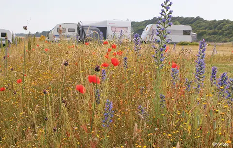 Dråby Strand Camping
