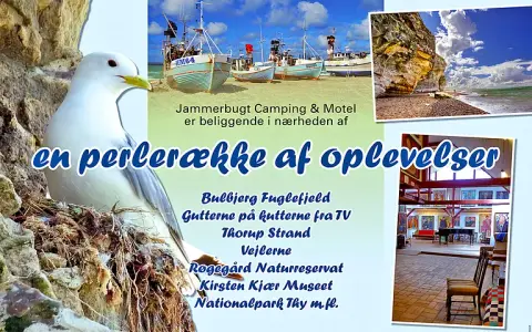 Jammerbugt Camping