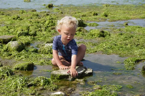Ertebølle Strand Camping