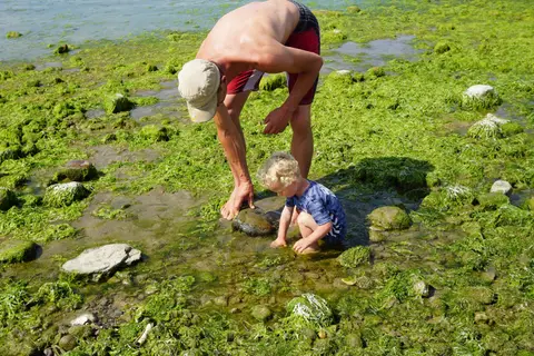 Ertebølle Strand Camping