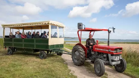 Hjarnø Camping