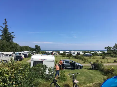Hals Strand Camping