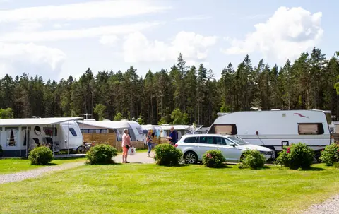 Mellerud SweCamp Vita Sandar
