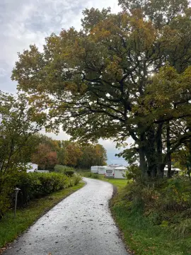 Brunvall gård
