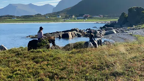 Hov Feriegård Og Camping